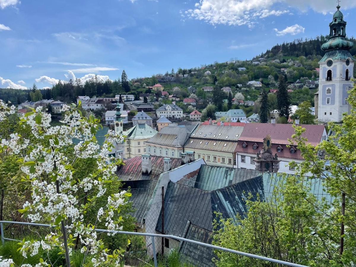Cyprian Apartment Banská Štiavnica Zewnętrze zdjęcie
